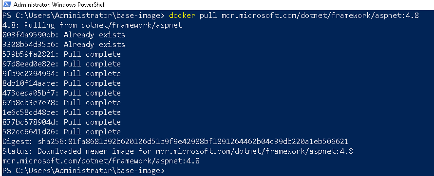 Docker_pull